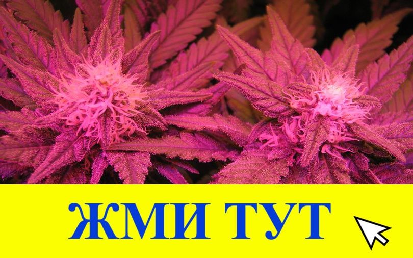 Купить наркотики в Железногорск-Илимском